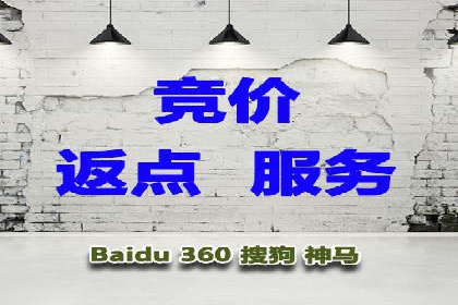 某品牌SEM推广策略的成效与启示